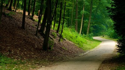 뒤셀도르프 그라펜베르크 야생동물 공원(빌트파르크 뒤셀도르프 그라펜베르크)